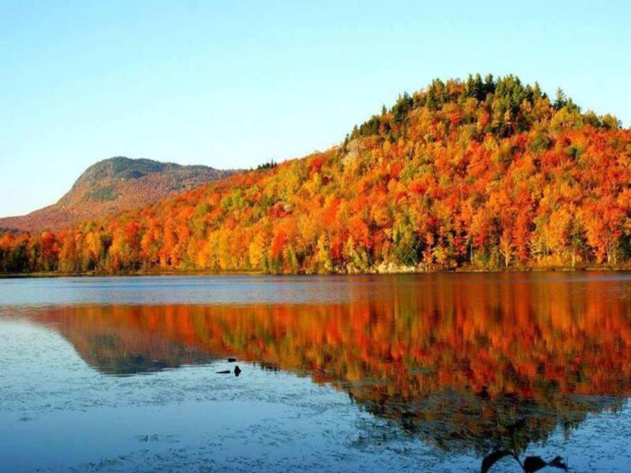 *Nouveaute* Foyer Au Bois, Plage, Montagne Et + Magog Dış mekan fotoğraf